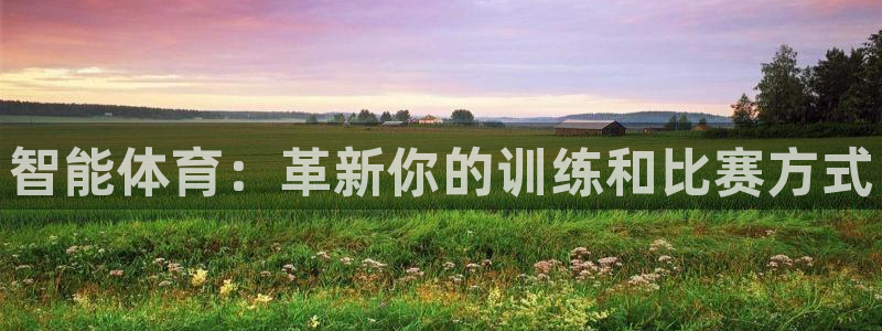 J9官网下载平台假的吗是真的吗：智能体育：革新你的训练和比赛