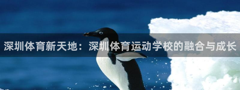 J9官方正版app五金厂：深圳体育新天地：深圳体育运动学校的
