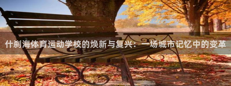 J9官网下载平台注册流程视频：什刹海体育运动学校的焕