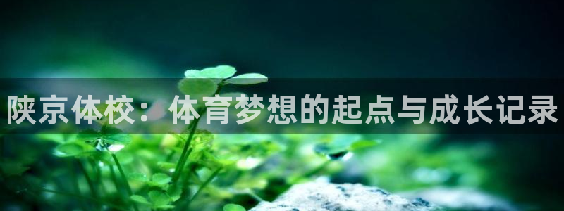 J9官方正版app娱乐平台：陕京体校：体育梦想的起点与成长记