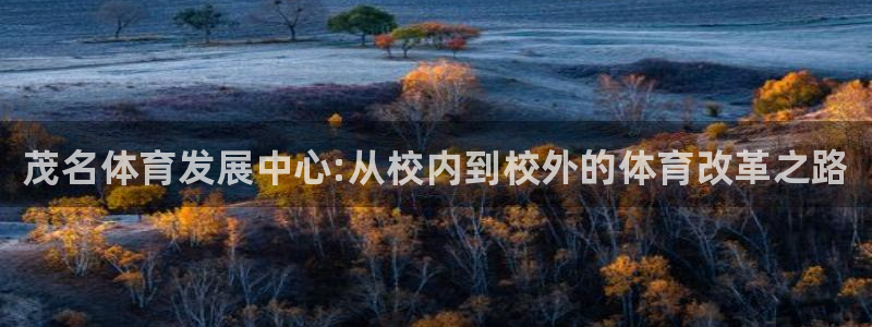 J9官方平台体育：茂名体育发展中心:从校内到校外的体育改革之
