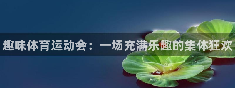 J9官网下载平台注册流程图：趣味体育运动会：一场充满