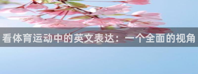 J9官方正版app娱乐平台