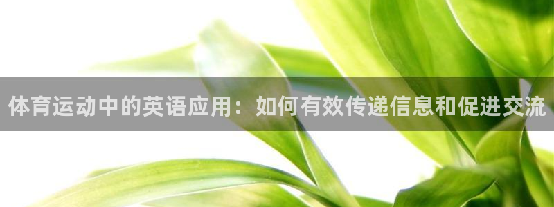 J9官方正版app集团官网网址