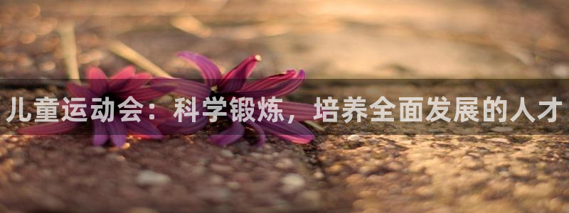 J9官方正版app娱乐是那个系列的台子：儿童运动会：