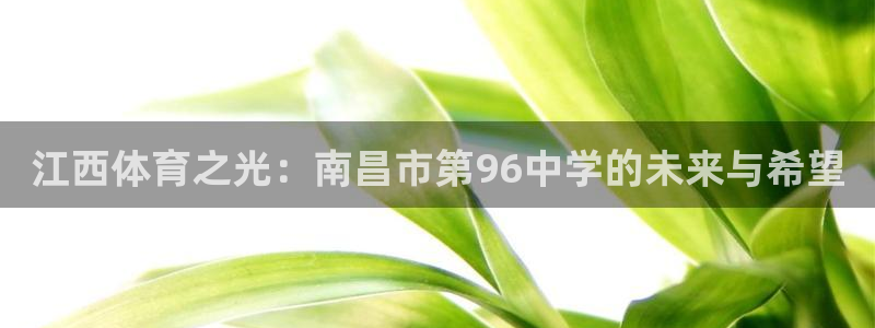 J9官方正版app官网