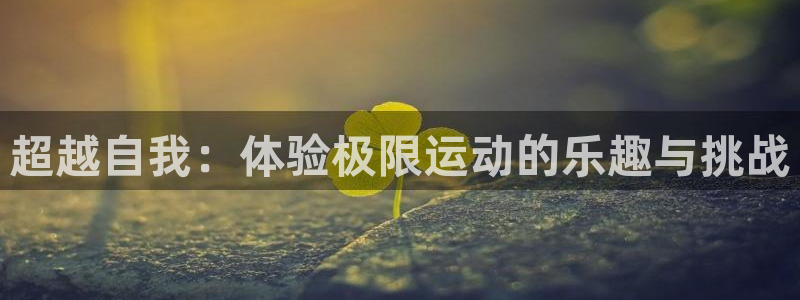 J9官方正版app代理