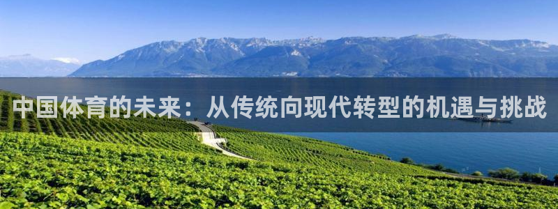 J9官网下载平台注册要钱吗安全吗：中国体育的未来：从传统向现