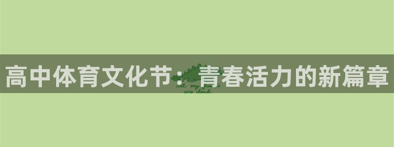 J9官方正版app集团E.ON：高中体育文化节：青春