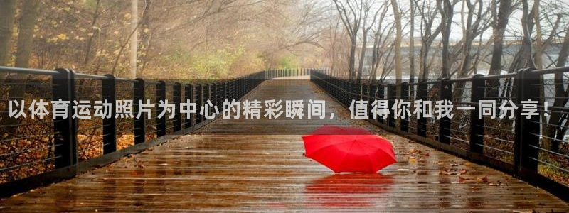 德国J9官方正版app集团：以体育运动照片为中心的精彩瞬间，