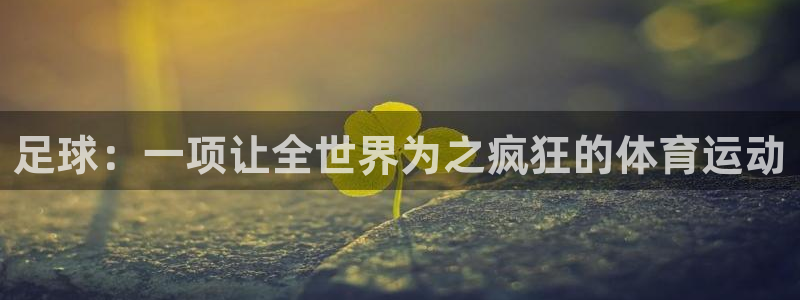 J9官网下载平台注册：足球：一项让全世界为之疯狂的体