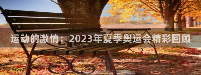 J9官网下载平台注册要钱吗：运动的激情：2023年夏季奥运会