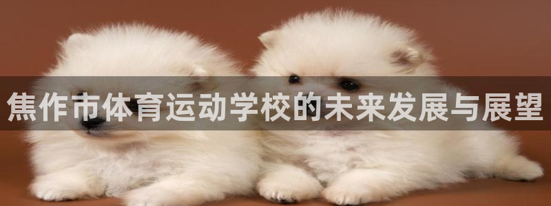 J9官网下载平台注册流程视频：焦作市体育运动学校的未来发展与