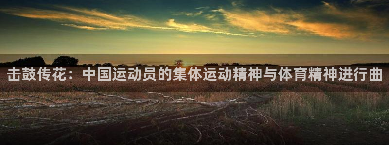 J9官网下载平台注册：击鼓传花：中国运动员的集体运动精神与体