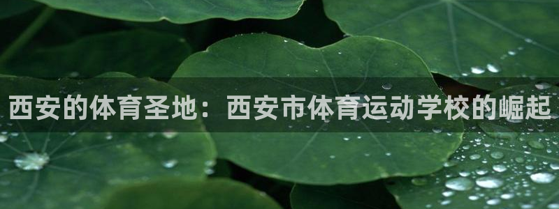 J9官网下载招商电话：西安的体育圣地：西安市体育运动学校的崛