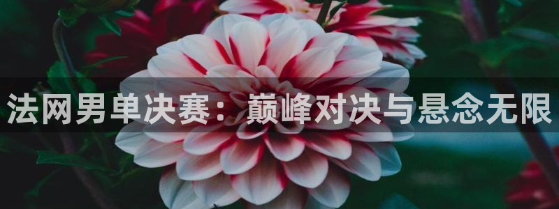 黑白直播足球比赛：法网男单决赛：巅峰对决与悬念无限