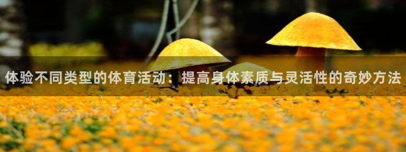 九游美化包：体验不同类型的体育活动：