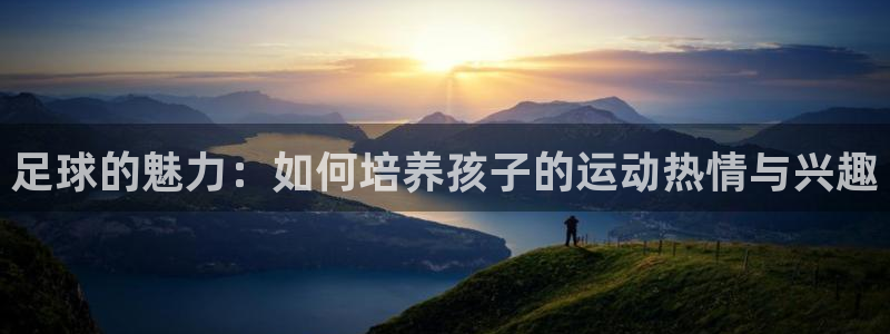 坚果 j9：足球的魅力：如何培养孩子