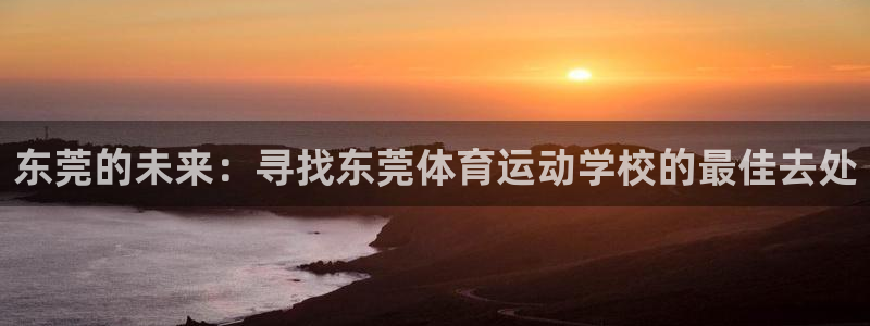 九游会j9：东莞的未来：寻找东莞体育
