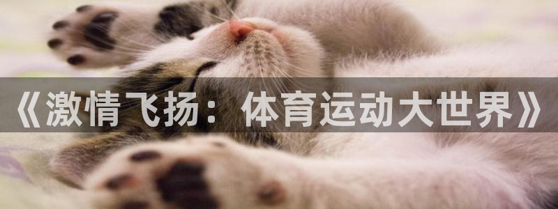 九游fgo：《激情飞扬：体育运动大世