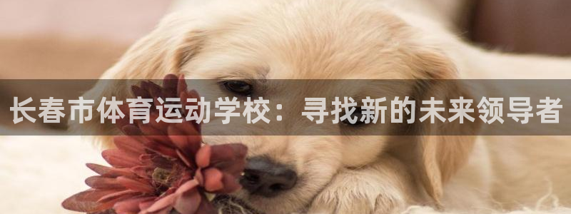 九游端游官网：长春市体育运动学校：寻