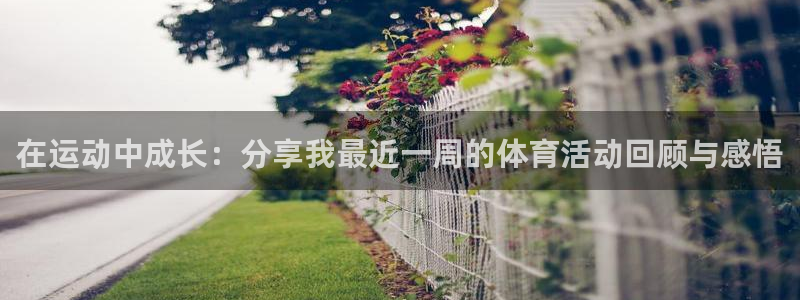 九游敢达决战：在运动中成长：分享我最