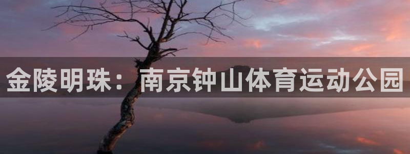 九游uc号账号中心：金陵明珠：南京钟