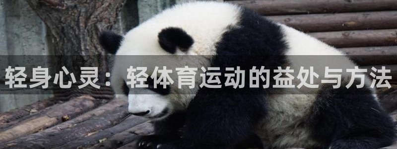 九游下载网站：轻身心灵：轻体育运动的