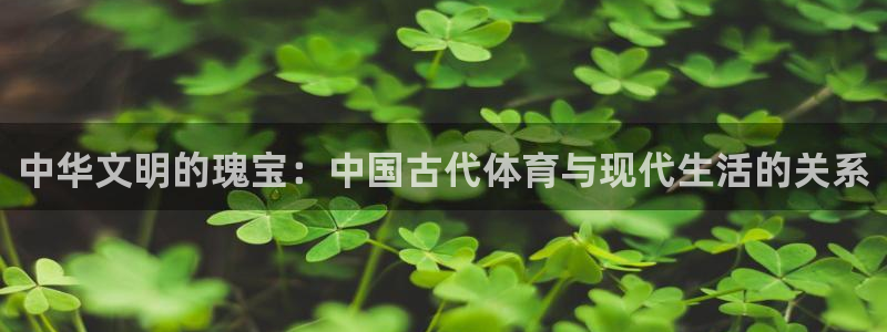 j9九游会官网登录首页：中华文明的瑰