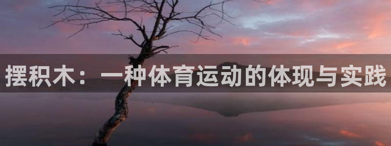 九游扩三国志号：摆积木：一种体育运动