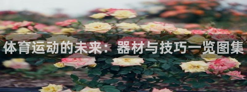 九九游戏盒子：体育运动的未来：器材与