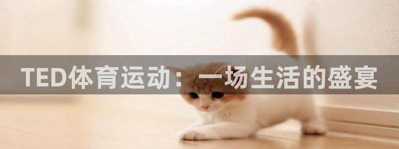 ag怎么变成九游会了：TED体育运动