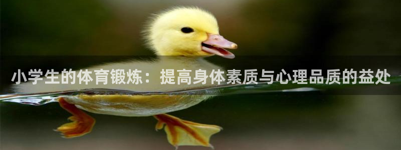 九游pubg国际服怎么下：小学生的体