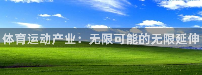 九游是国际服吗：体育运动产业：无限可