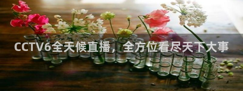 黑白直播体育app下载ios