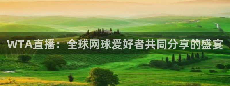 黑白体育app官网入口