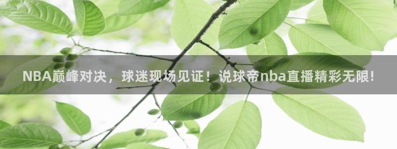 黑白足球