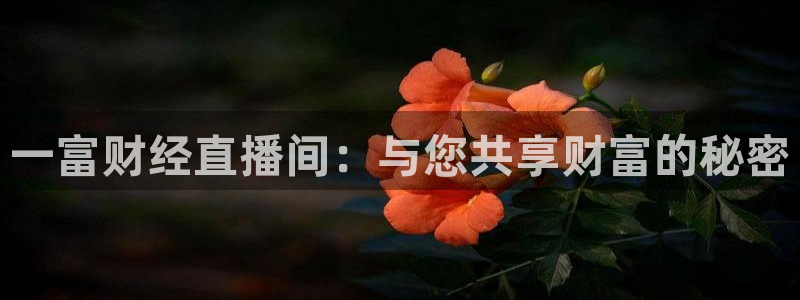 黑白体育直播 app