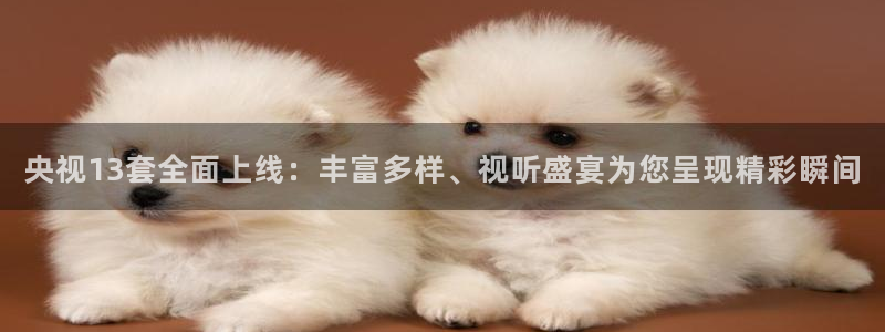 黑白直播体育足球