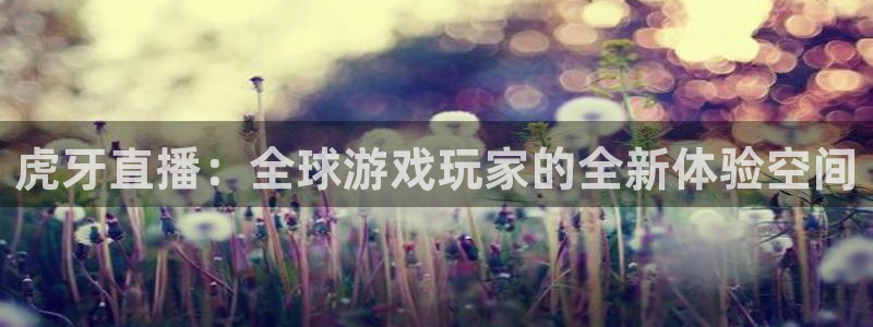 黑白体育app下载：虎牙直播：全球游戏玩家的全新体验空间