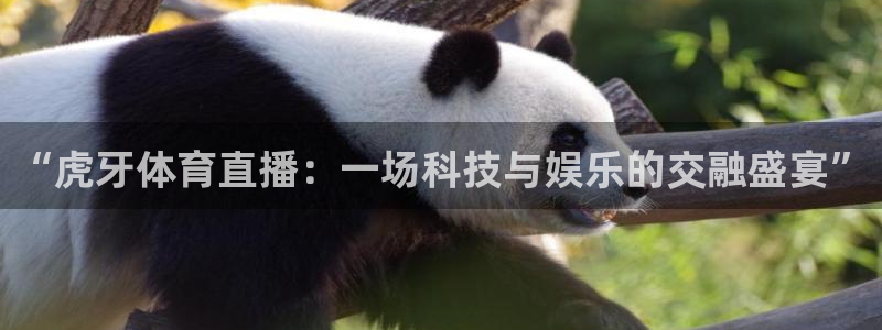 黑白体育app直播：“虎牙体育直播：一场科技与娱乐的交融盛宴”