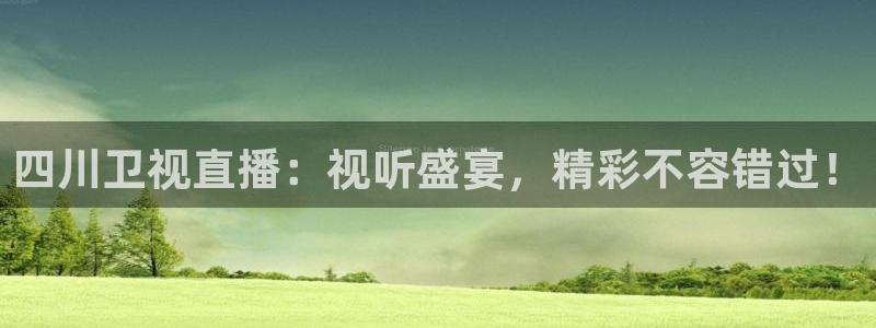 黑白体育直播间：四川卫视直播：视听盛宴，精彩不容错过！