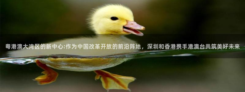 黑白足球直播下载