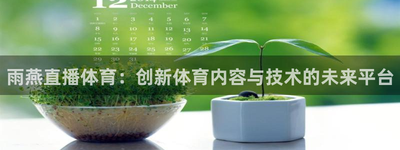 黑白体育直播在线看：雨燕直播体育：创新体育内容与技术的未来平台